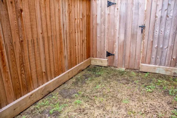 Cedar privacy fence